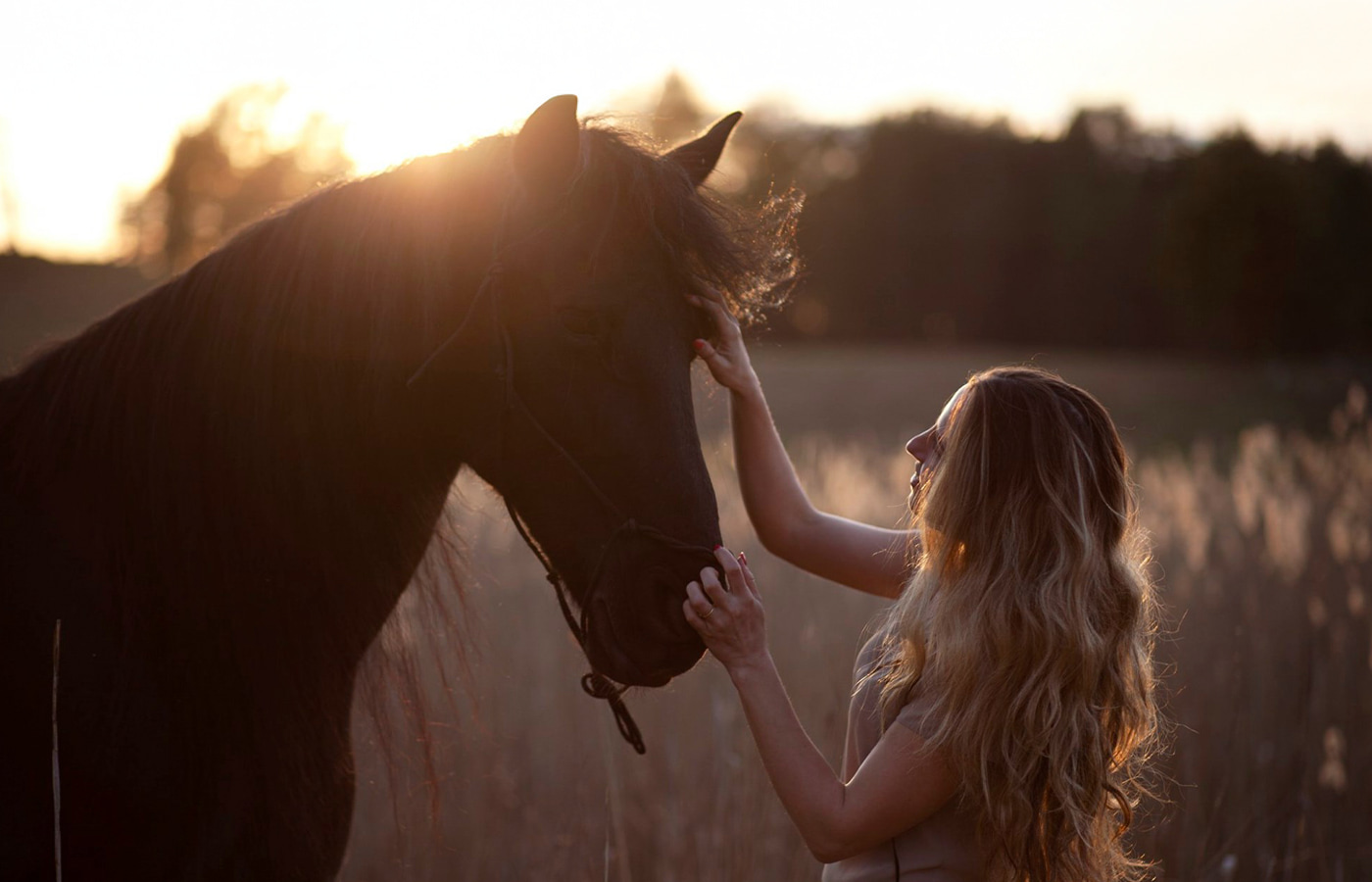 Raudoni Vakarai – žirgų kaimas
