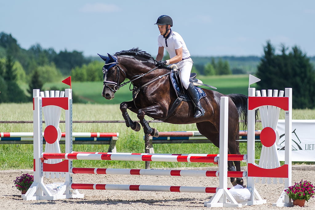 Raudoni Vakarai – žirgai ir gamta