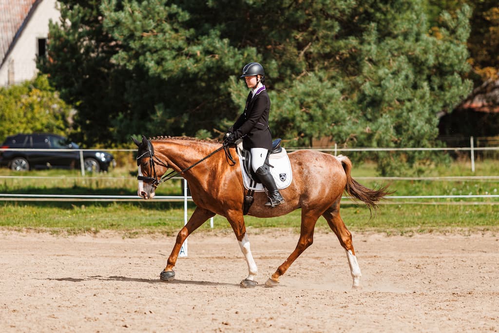 Raudoni Vakarai – žirgai ir gamta