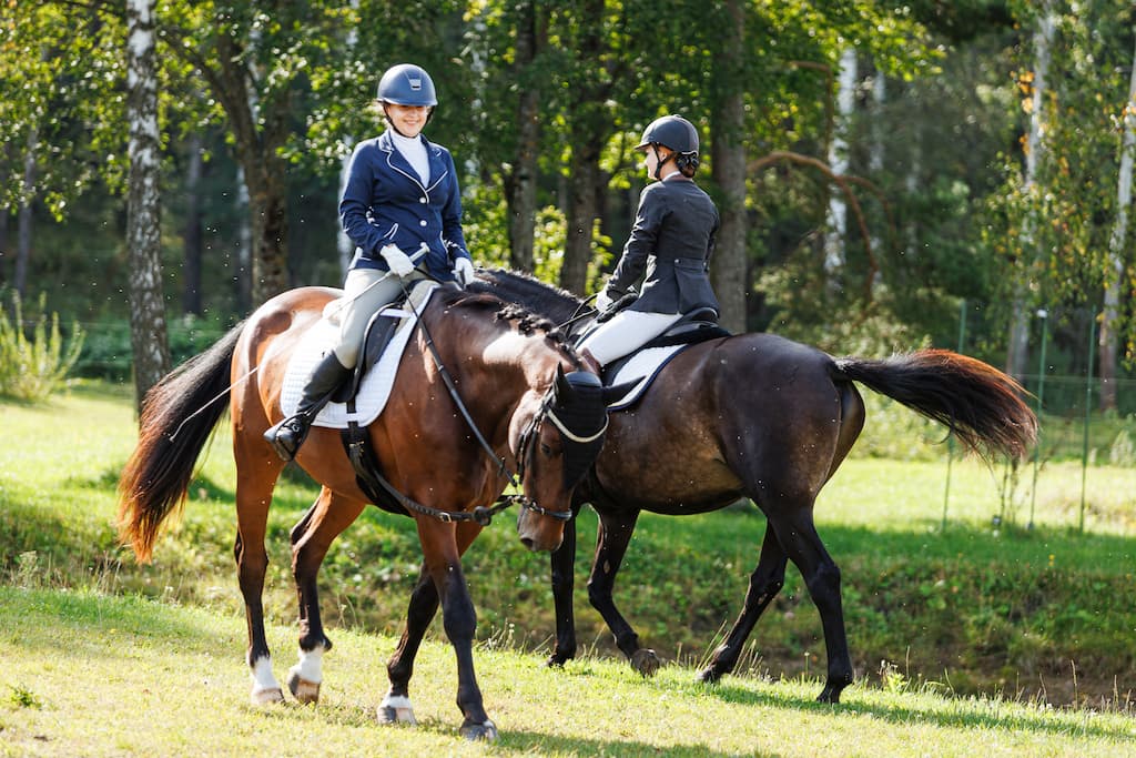 Raudoni Vakarai – žirgai ir gamta
