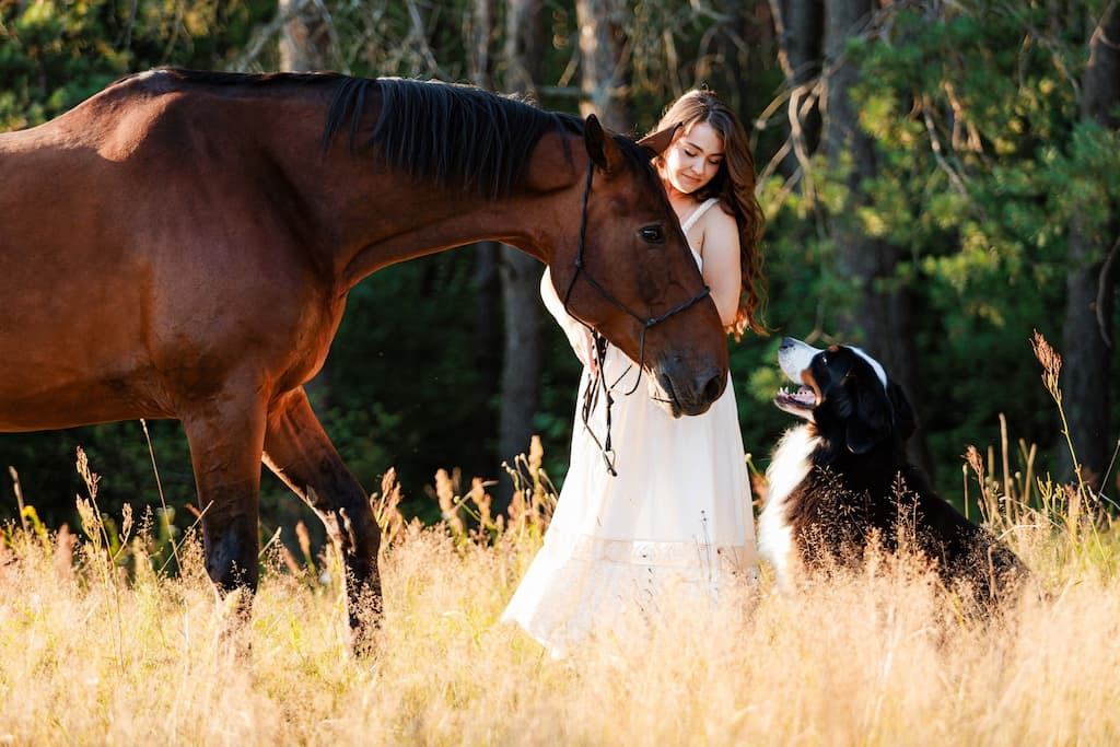 Raudoni Vakarai – žirgai ir gamta